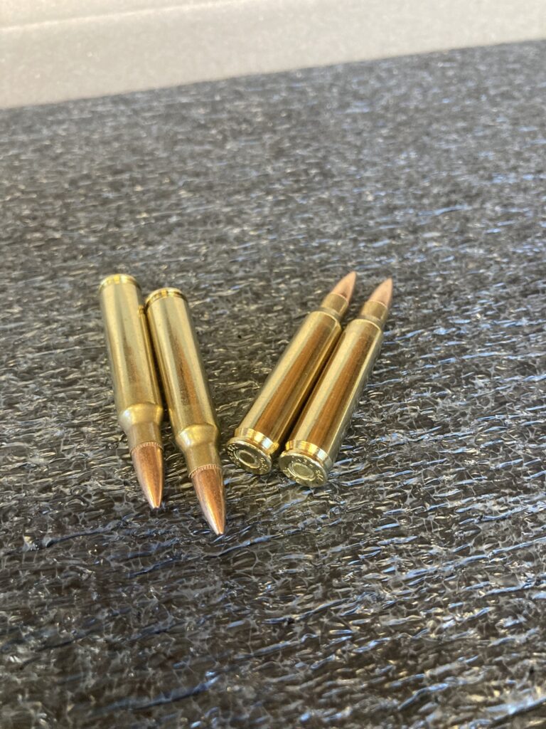 Fiocchi .223 REM 55gr