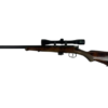 Karabinek TOZ, 22LR